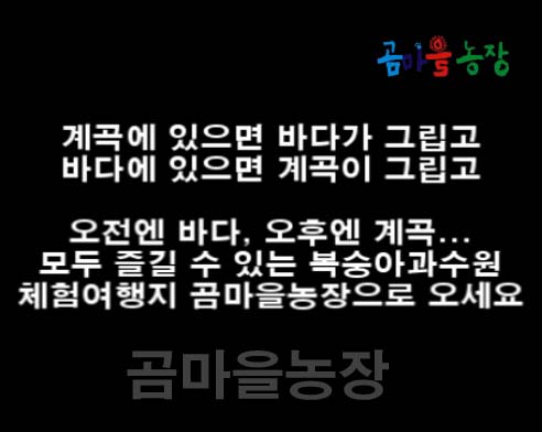 곰마을민박 이미지