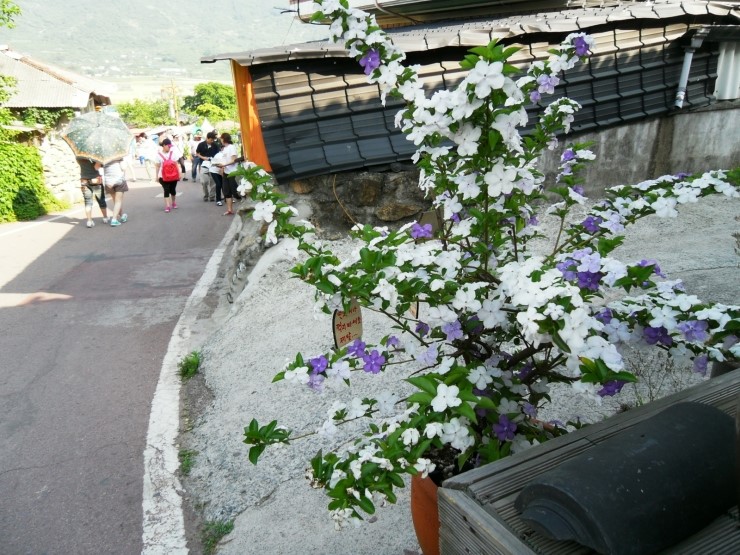 평사리상회 이미지