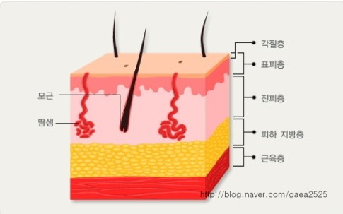 심재성 이미지
