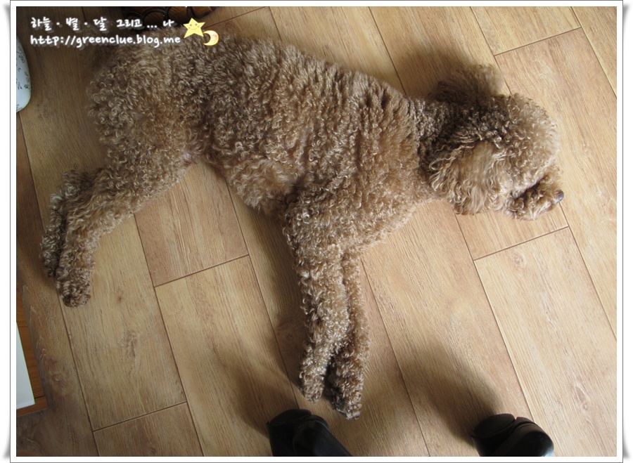 또치PC 이미지
