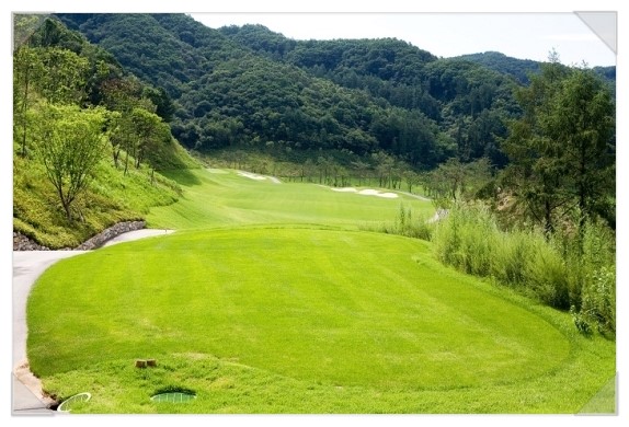 송호골프디자인주 이미지