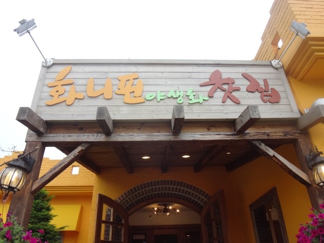 화니핀꽃 이미지