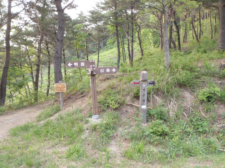 화신장 이미지