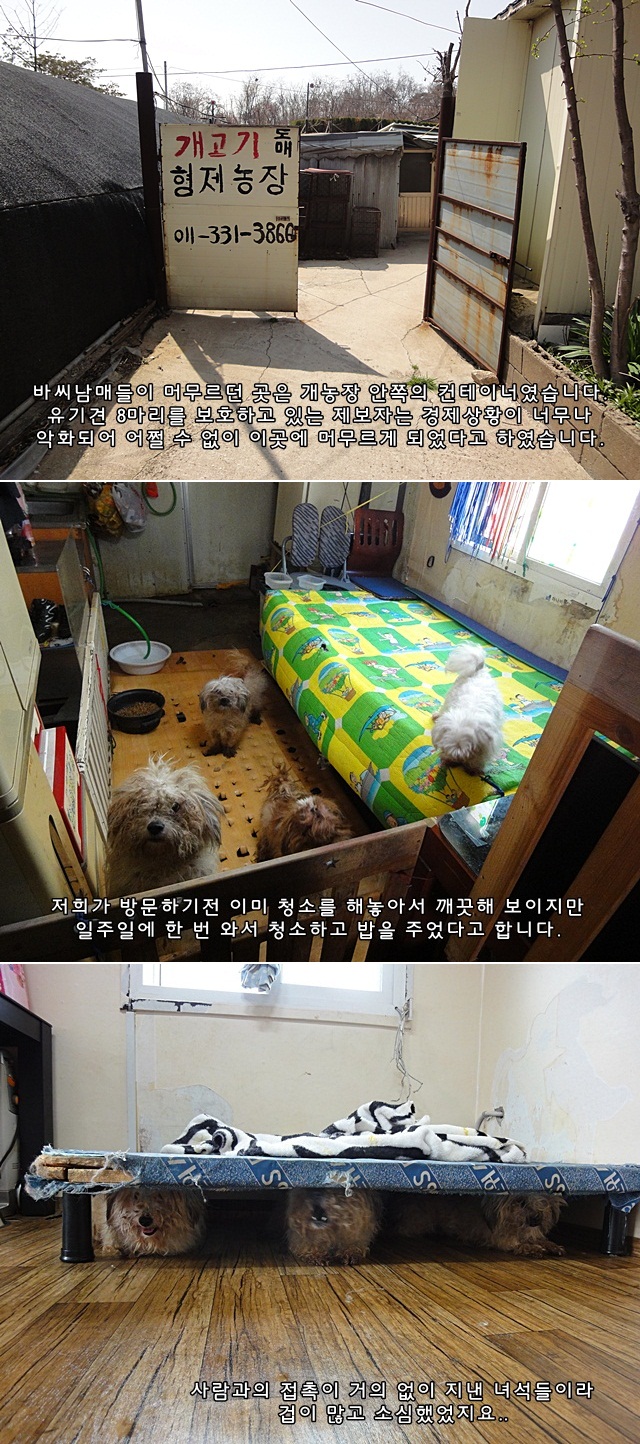 아라아띠 이미지
