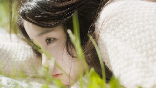 봄:하루 이미지