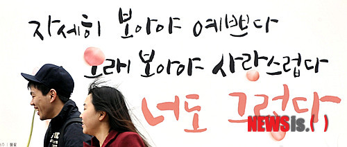햇살디자인 이미지