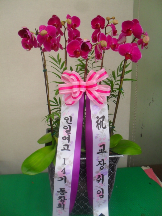 영주꽃배달 이미지