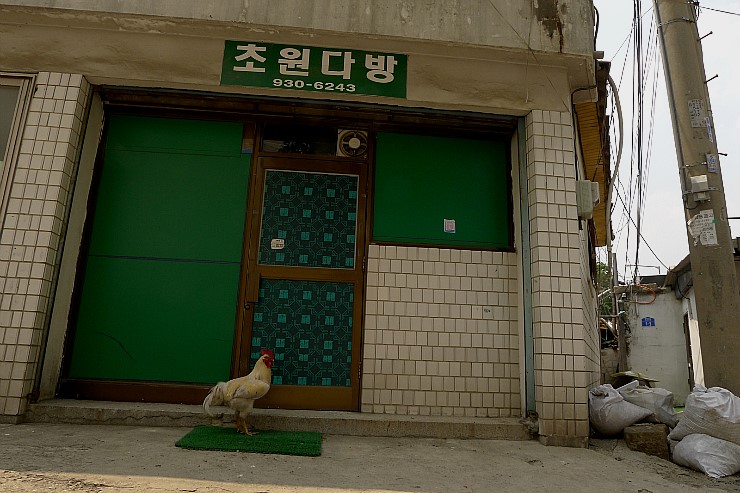 초원다방 이미지