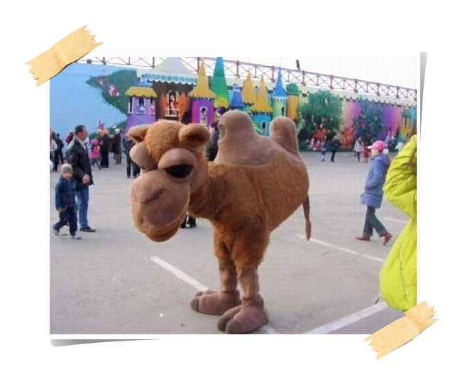 명*안* 이미지
