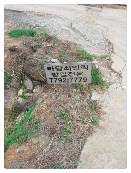 마당쇠인력 이미지
