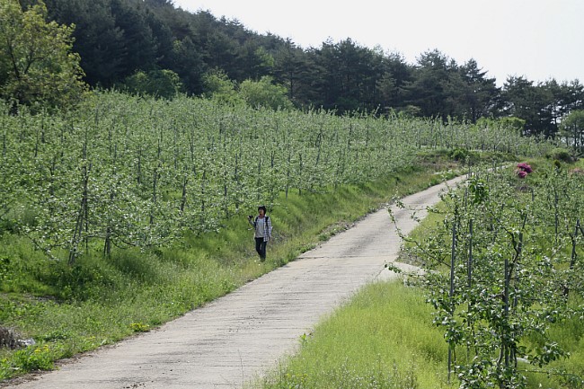 만산농장 이미지
