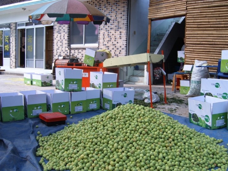 산곡다원 이미지