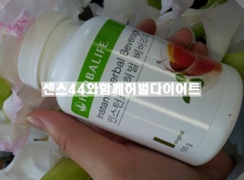 허벌매니아 이미지