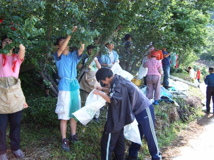 산곡다원 이미지