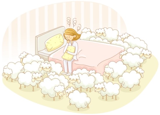 신창6호 이미지