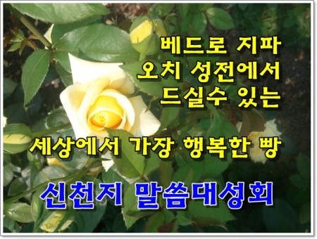 행복한빵세상 이미지