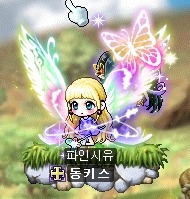 파인메르 이미지