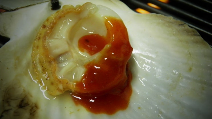 구울래찔래 이미지