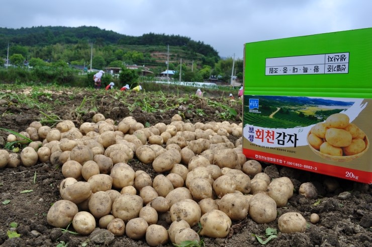 보성유기질비료 이미지