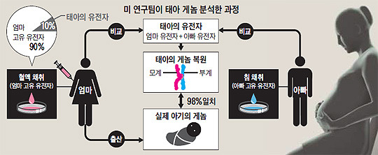 다운정보기술 이미지