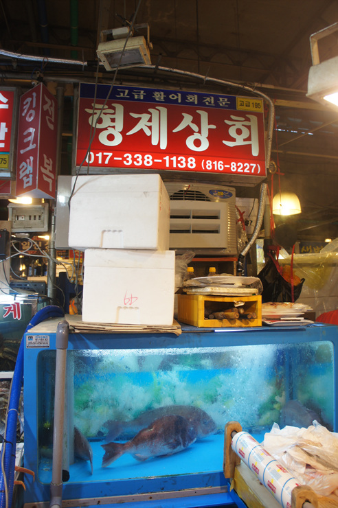 성도상회 이미지