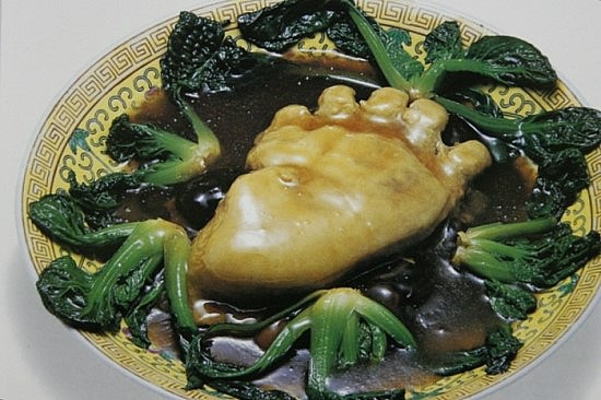 곰발바닥 이미지