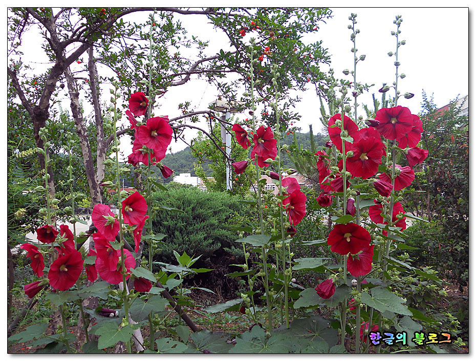 송현여자고등학교 이미지
