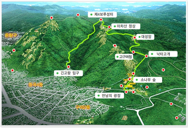 장인석닭한마리 이미지