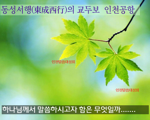 전단지배포광고나라 이미지