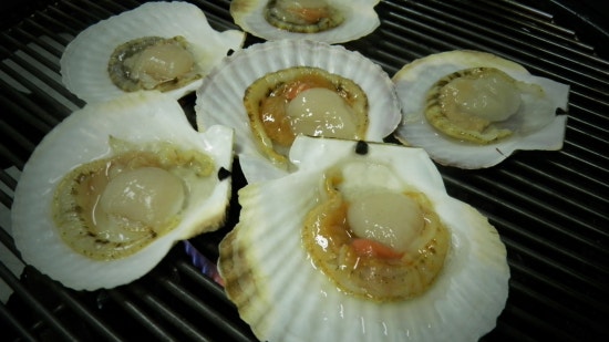 구울래찔래 이미지
