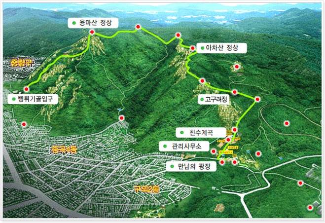 장인석닭한마리 이미지
