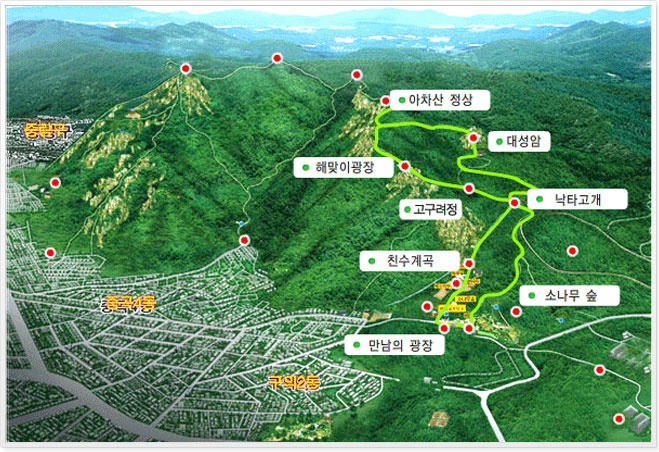 장인석닭한마리 이미지