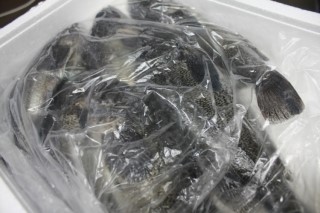 바보푸드 이미지