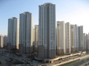 대지인력개발 이미지