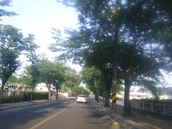 용소유원지 야영장 이미지