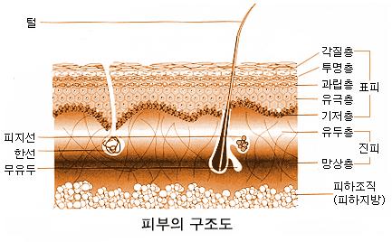 크림피부네일 이미지