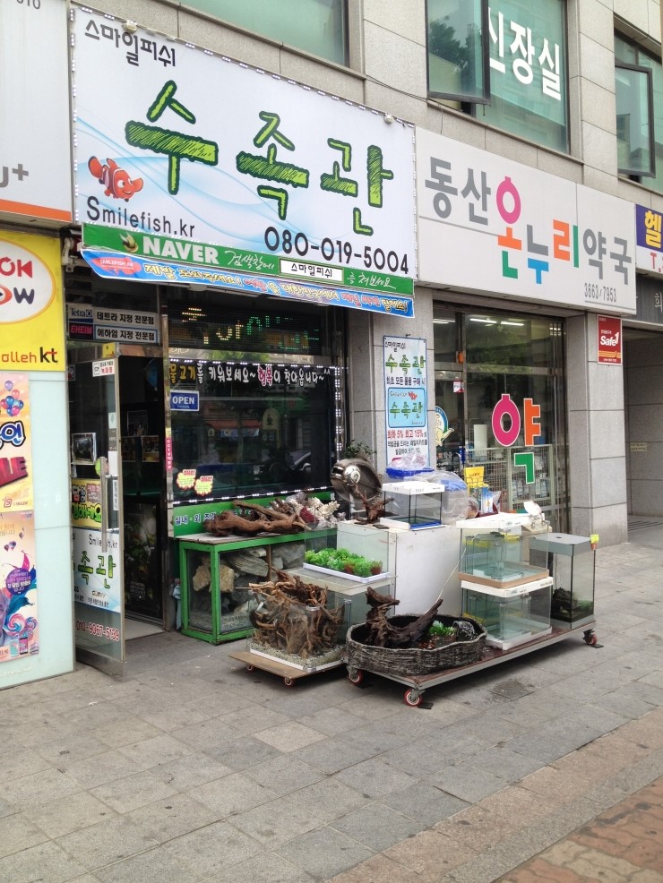 피쉬마트수족관 이미지