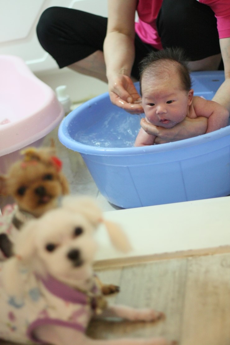 라라스튜디오 이미지