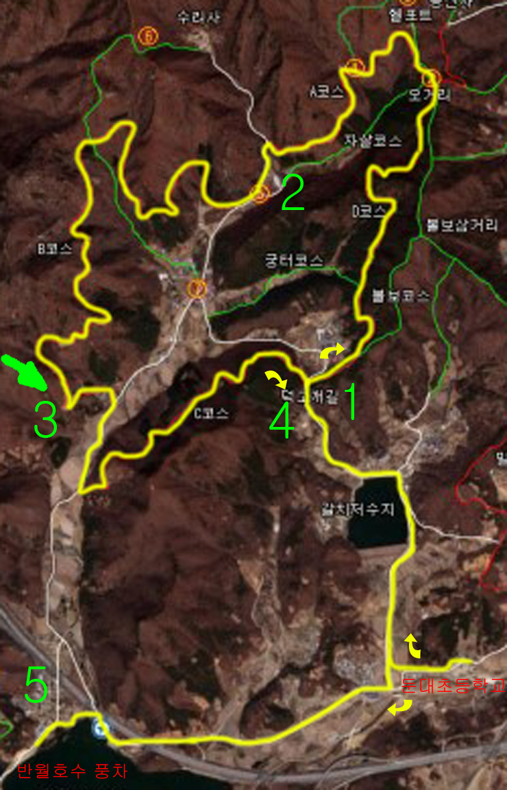 쎄리헤어 이미지