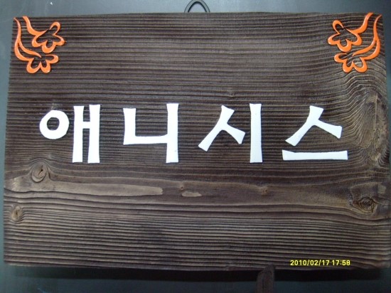 애니시스 이미지