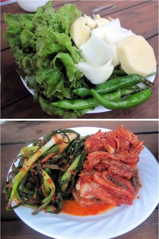 숲의요정펜션 이미지