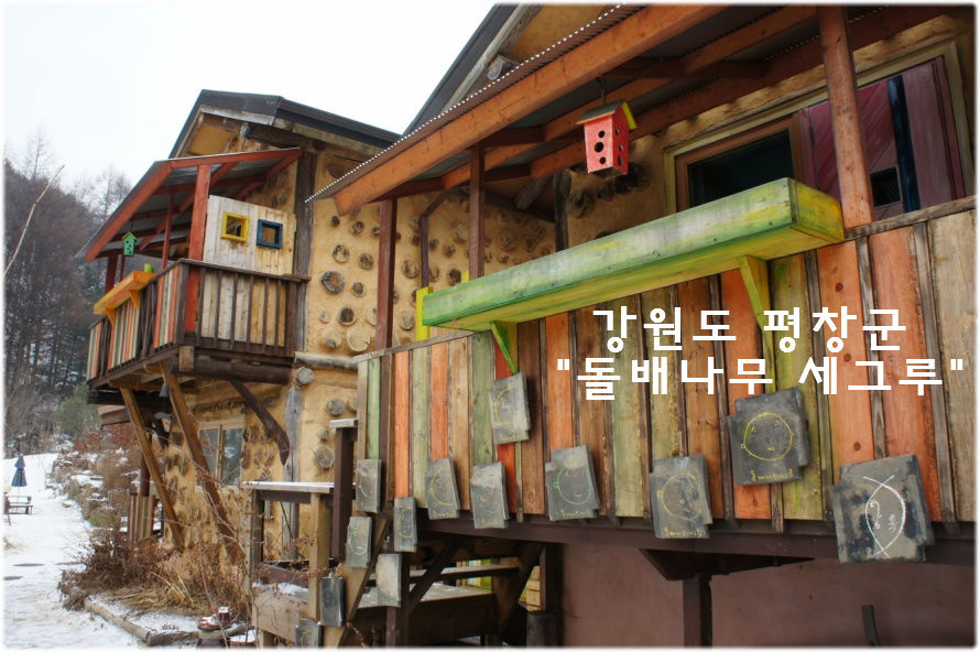 돌배나무세그루 이미지
