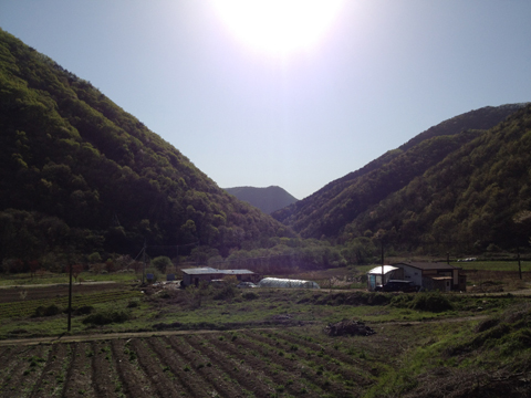 청정도시락 이미지