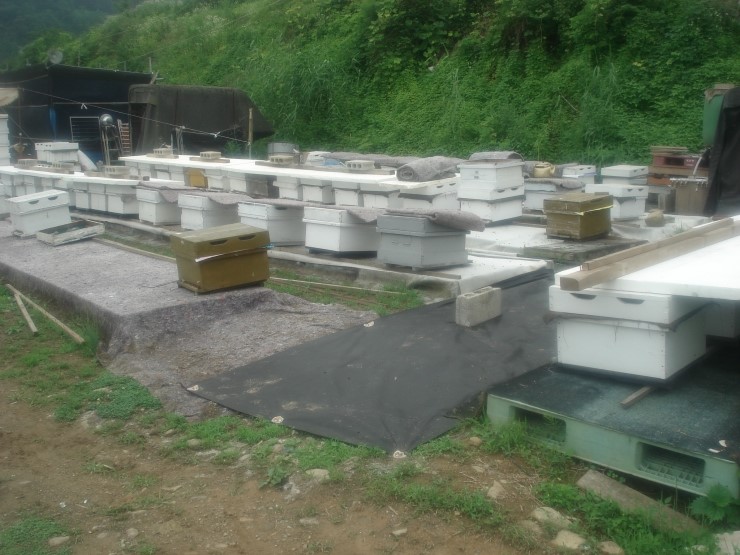 산마실 이미지
