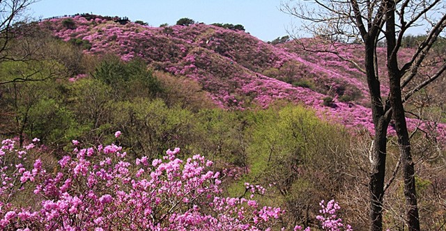 (주)햇빛나들이 이미지
