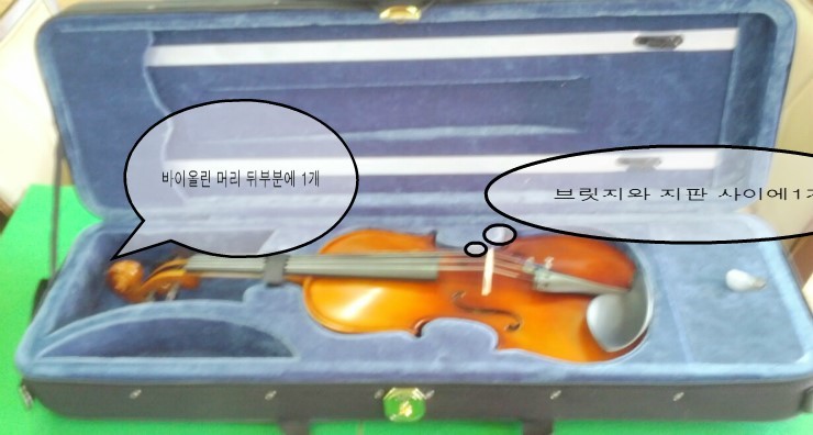 현악기사 이미지