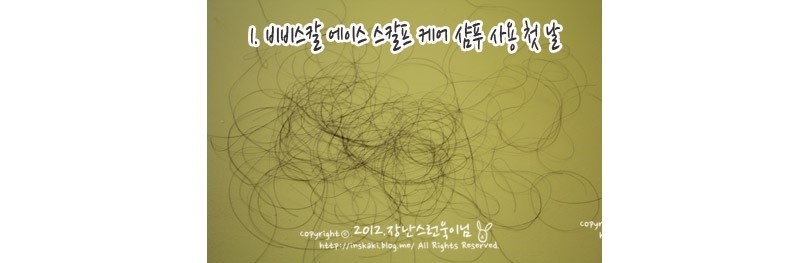 에이스스칼프 이미지