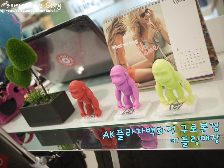 에이케이플라자(키플링) 이미지