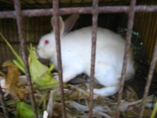 광일환경 이미지
