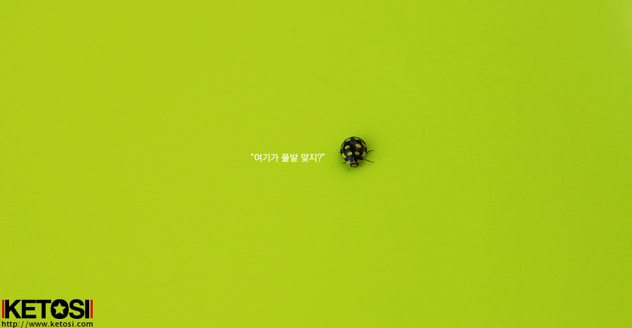AMC모터스 이미지